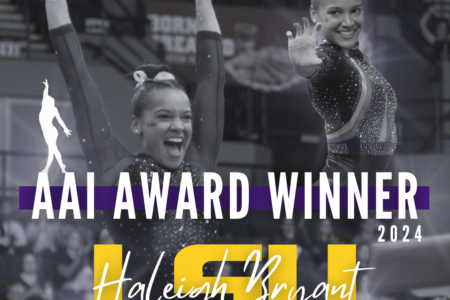 Announcing the 2024 AAI Award Winner!