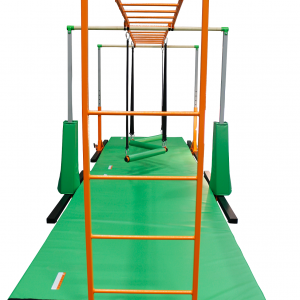 Monkey Bar with Ladder